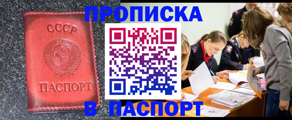 прописка для школы в Луге