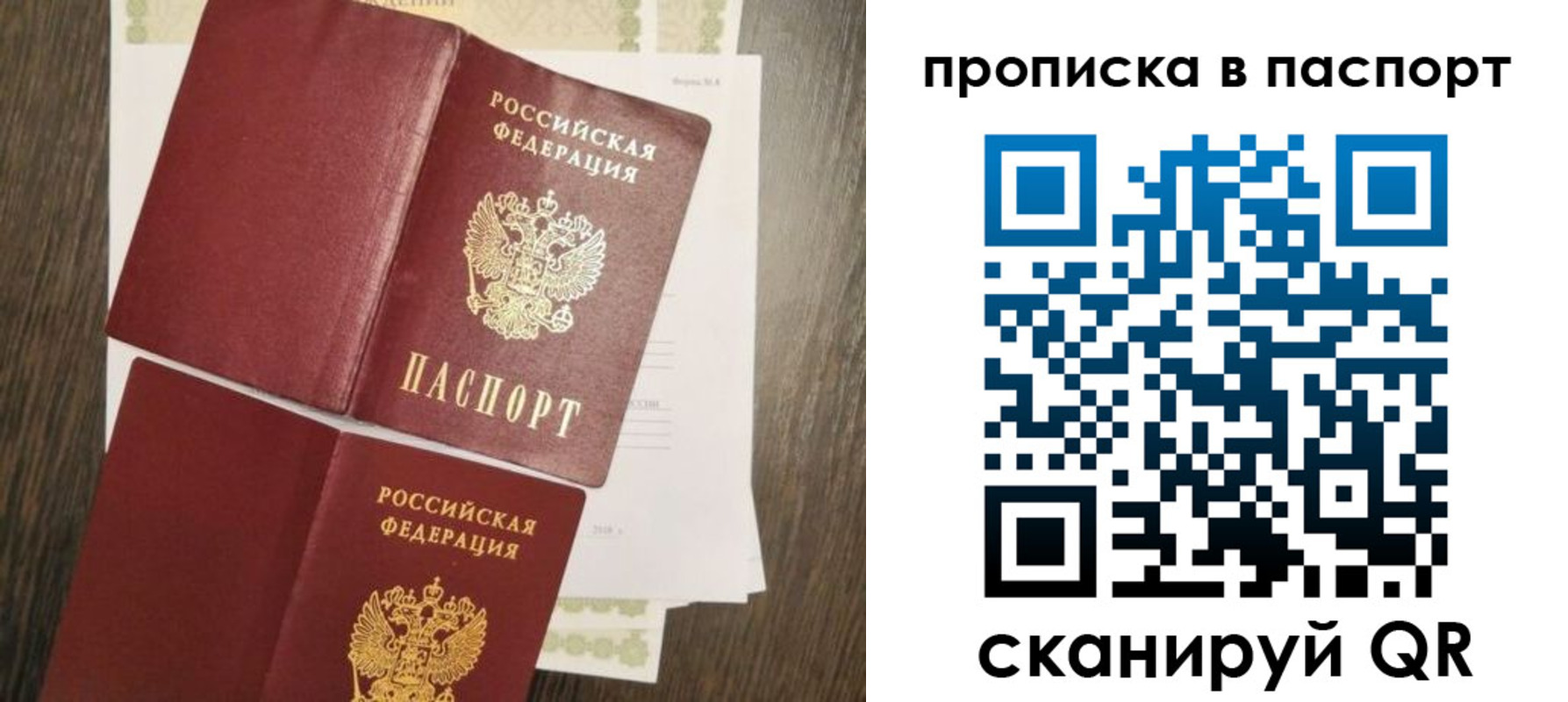 прописка гарантия в Луге