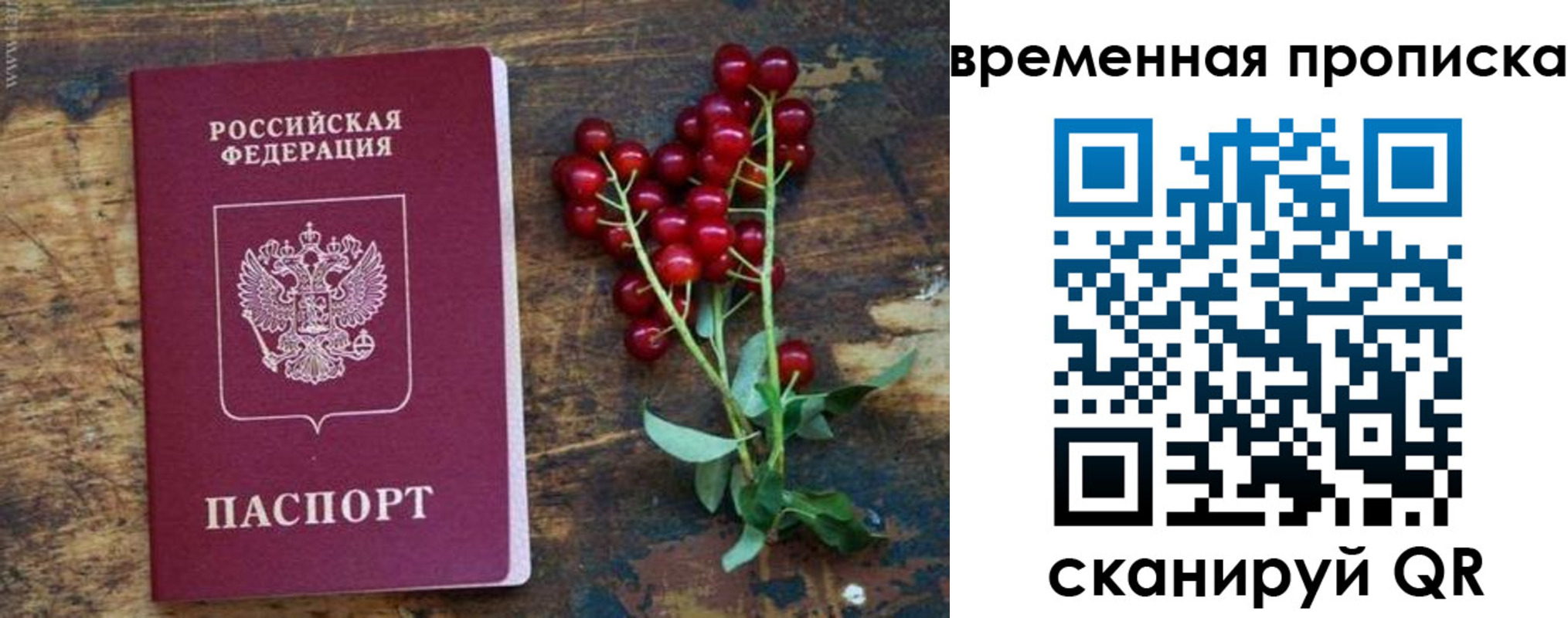временная регистрация гарантия в Луге