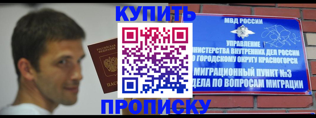 временная регистрация 2025 в Луге